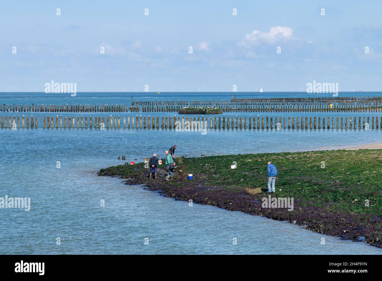 Westkapelle, Paesi Bassi-Maggio 2021; Vista panoramica sulla spiaggia e acque frangiflutti lungo la costa con molti uomini Foto Stock