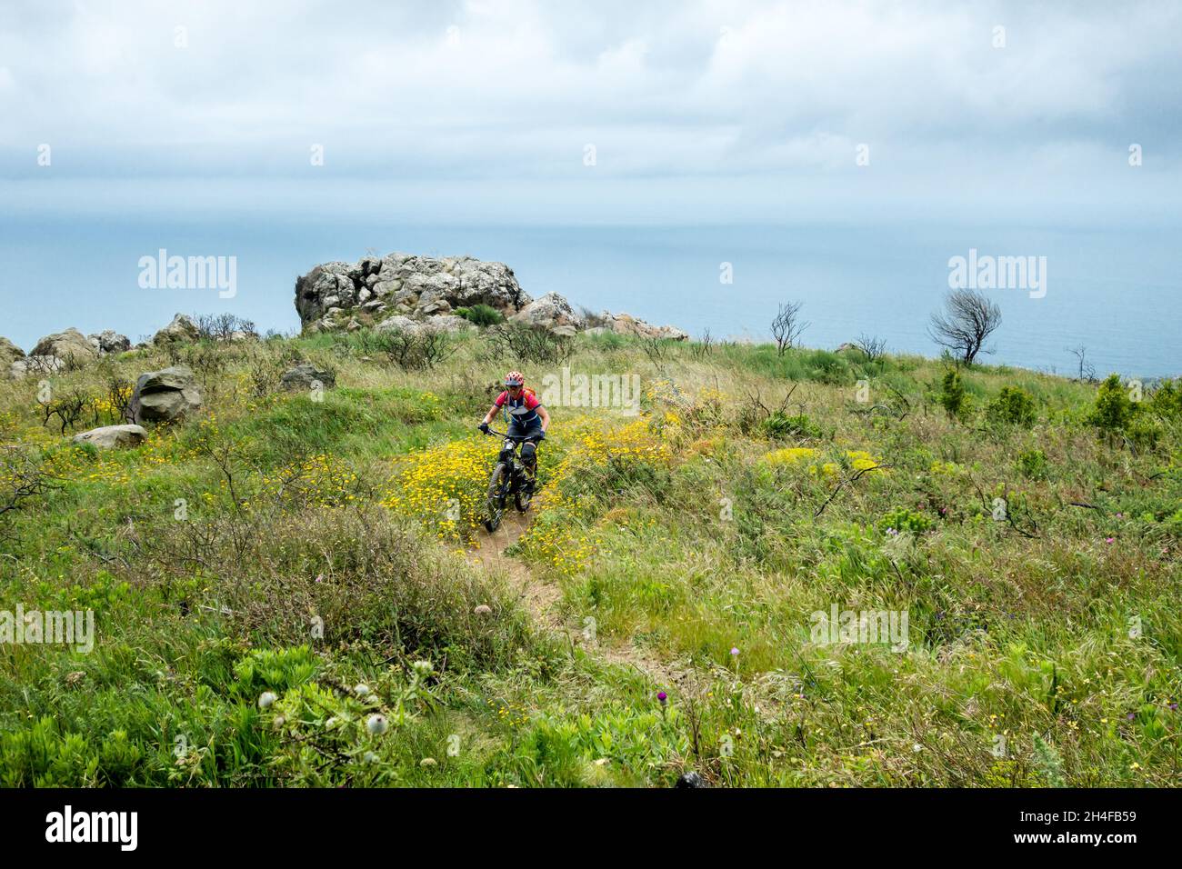 Donna single mountain bike femminile sul sentiero Donkey Burros in primavera collina ricoperta di fiori che scende verso la spiaggia di Guincho a Serra de Sintra Foto Stock