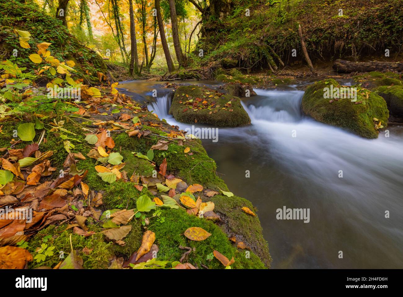 Torrente di montagna con piccole cascate in autunno, Zumberak, Croazia Foto Stock