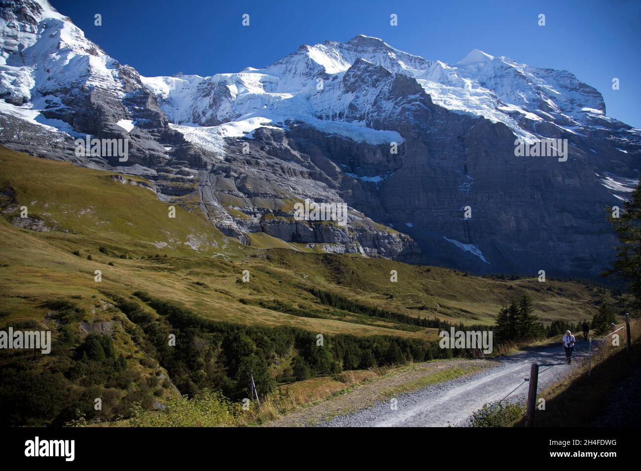 Viaggiando con il treno a cremagliera (Jungfraubahn) fino a Jungfraujoch Foto Stock