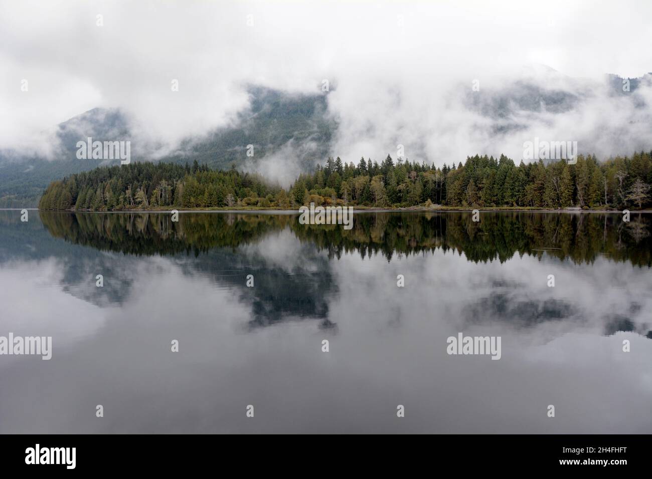 Nebbia e nebbia sulla foresta pluviale temperata e vecchia di crescita dell'Inland Lake Provincial Park, vicino al fiume Powell, Sunshine Coast, British Columbia, Canada. Foto Stock
