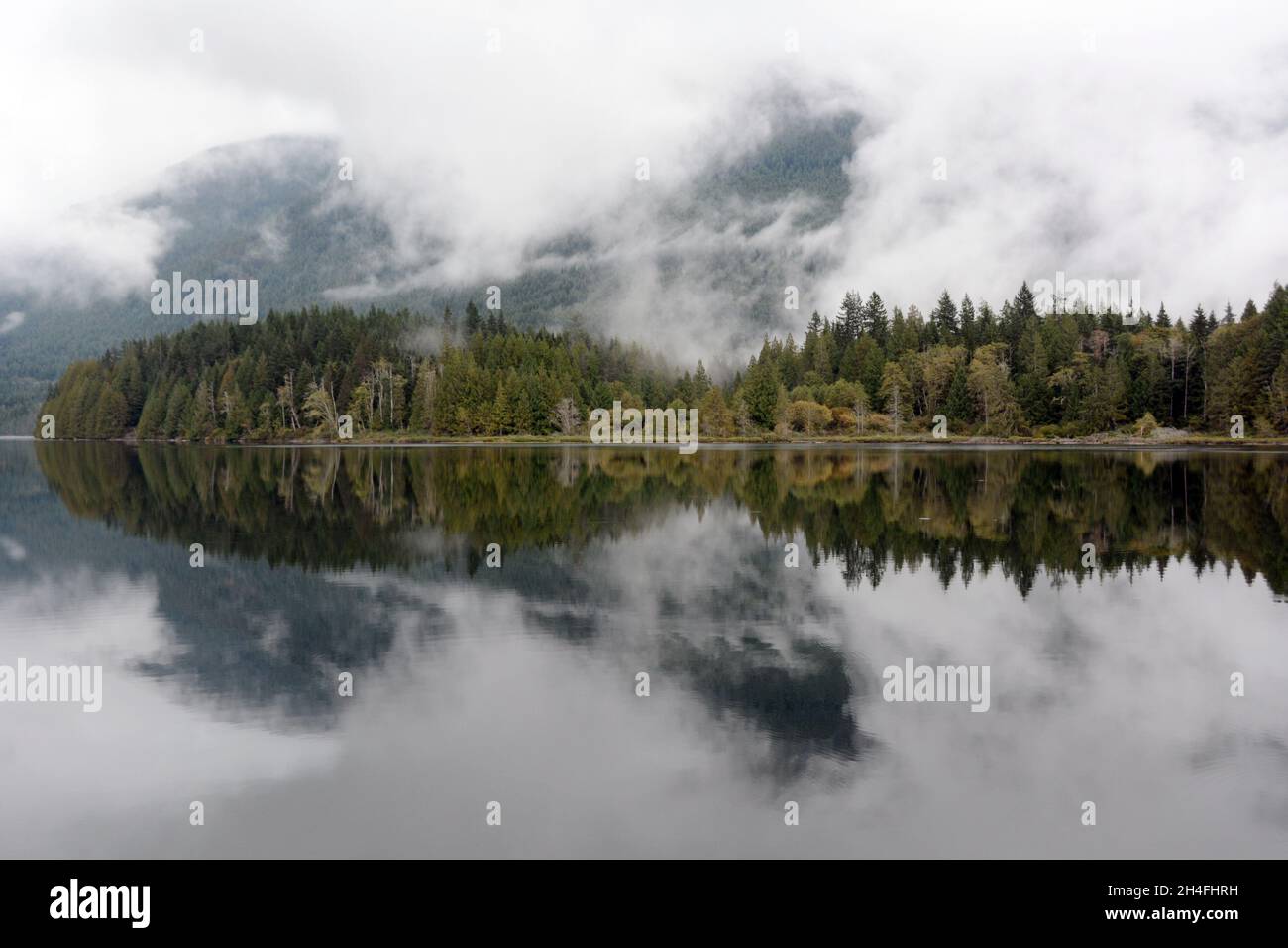 Nebbia e nebbia sulla foresta pluviale temperata e vecchia di crescita dell'Inland Lake Provincial Park, vicino al fiume Powell, Sunshine Coast, British Columbia, Canada. Foto Stock
