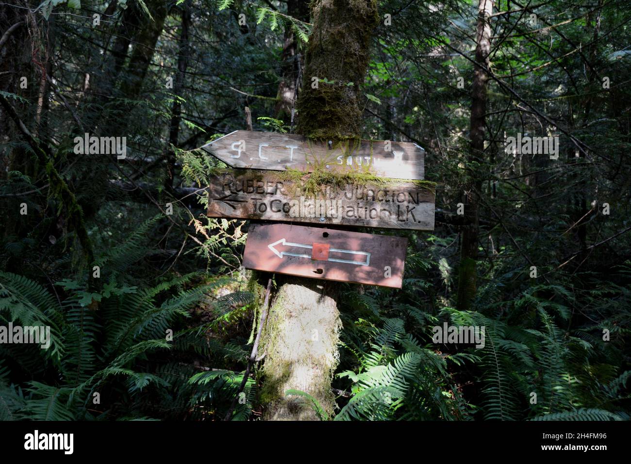 Un cartello direzionale nella foresta pluviale incontaminata lungo il Sunshine Coast hiking Trail, vicino al fiume Powell, British Columbia, Canada. Foto Stock