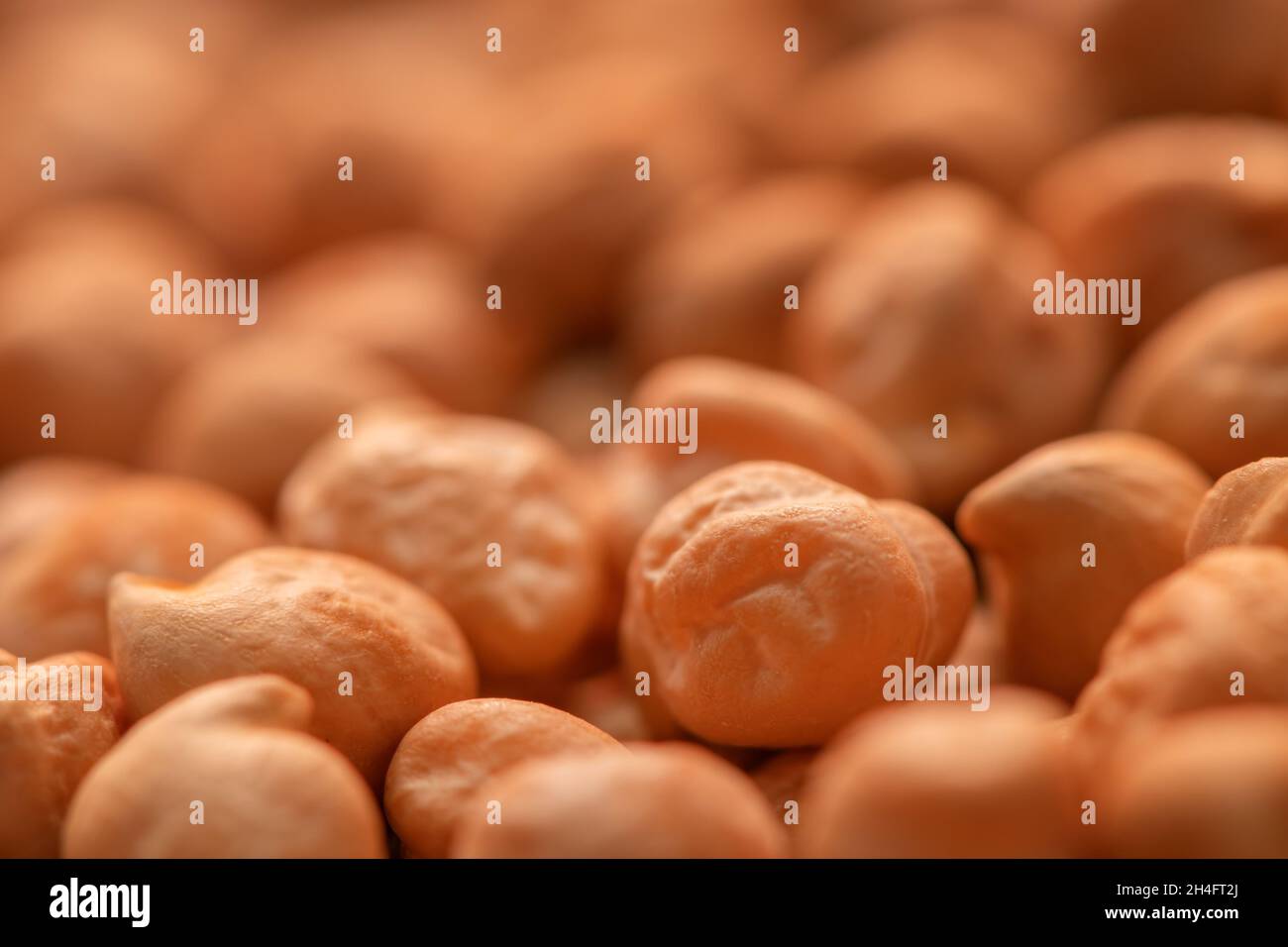 Mucchio di legume crudo di ceci, macro shot con profondità di campo poco profonda e fuoco selettivo Foto Stock