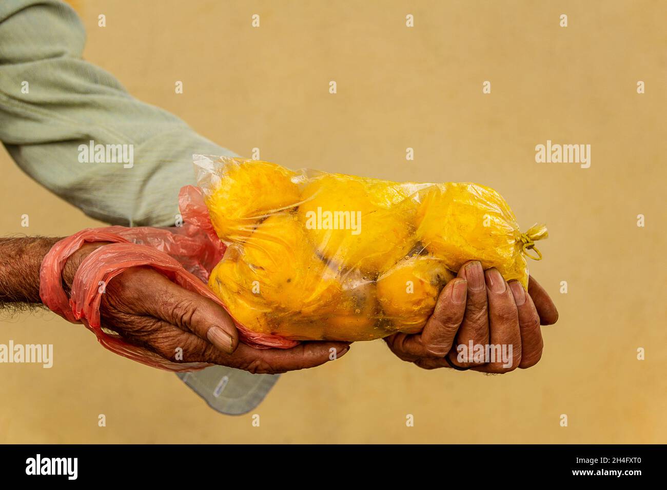 Le mani del venditore con pacchetto di pequi imballato per vendere. Pequi è un frutto tipico del cerrado di Goiás. Foto Stock