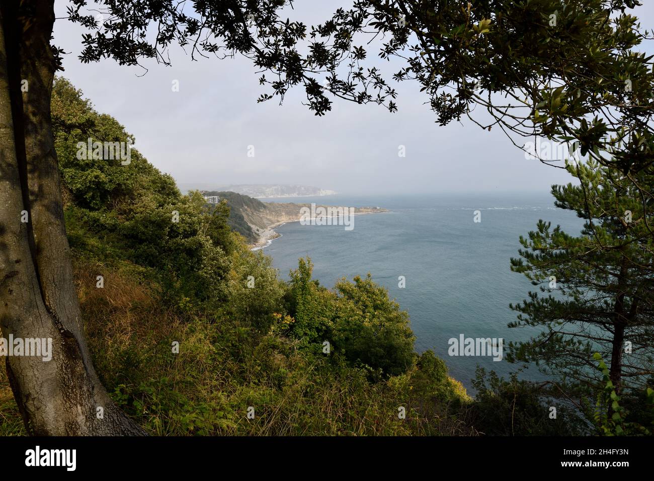 Vista dal South West Coast Path guardando indietro a Durlston Bay Foto Stock
