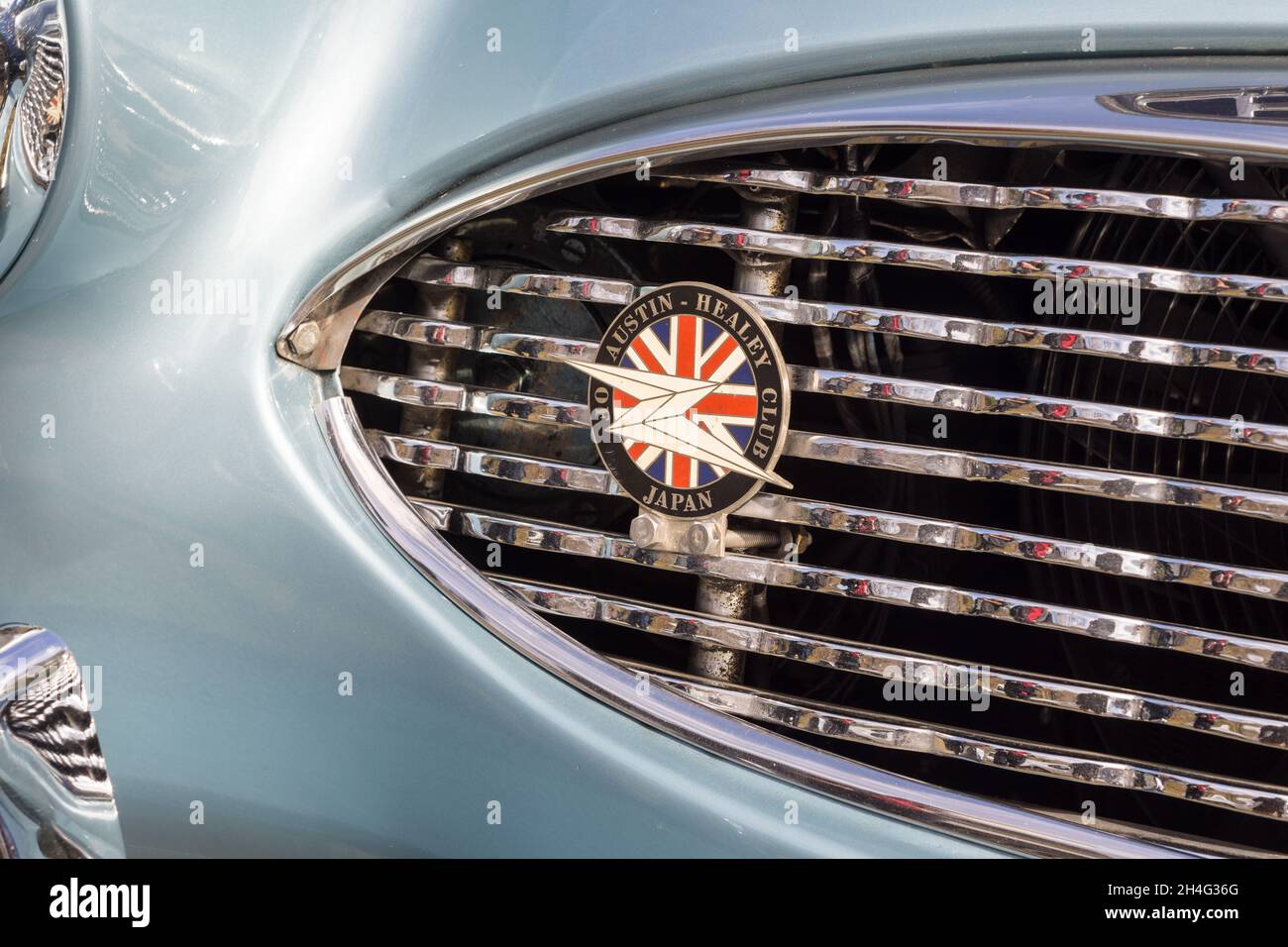 Primo piano dettaglio di un badge Healey Owners Club sulla griglia di un'auto sportiva Austin-Healey 100-6 British 1950 con tetto aperto Foto Stock
