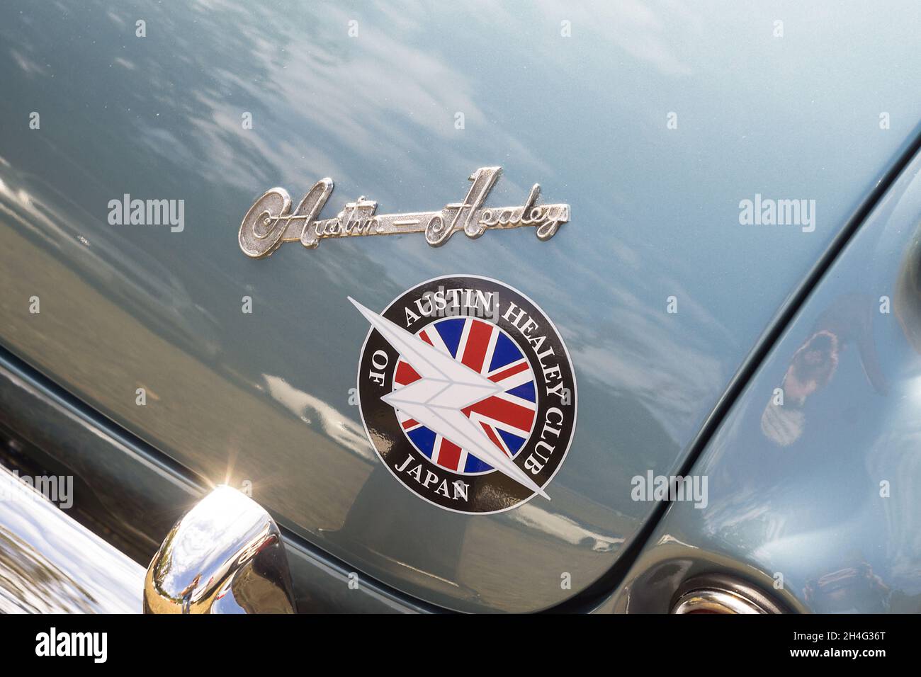 Primo piano dettaglio dell'emblema con logo sul retro di un'auto sportiva Austin-Healey 100-6 britannica con tetto aperto negli anni '50 Foto Stock