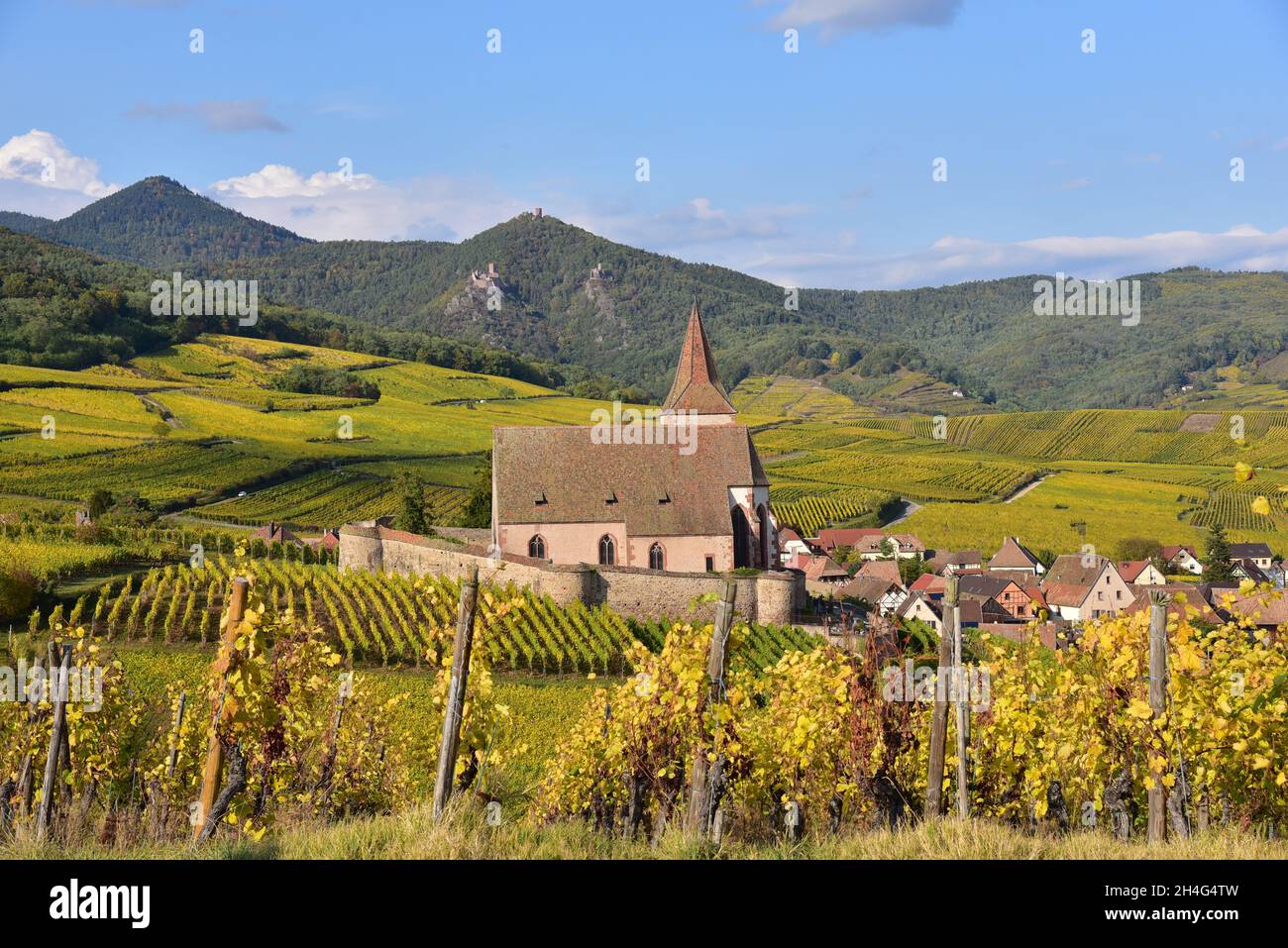 Vista della chiesa del villaggio e i vigneti di Hunawihr sulla strada del vino alsaziano nel dipartimento Alto Reno, sullo sfondo le rovine del castello di Foto Stock