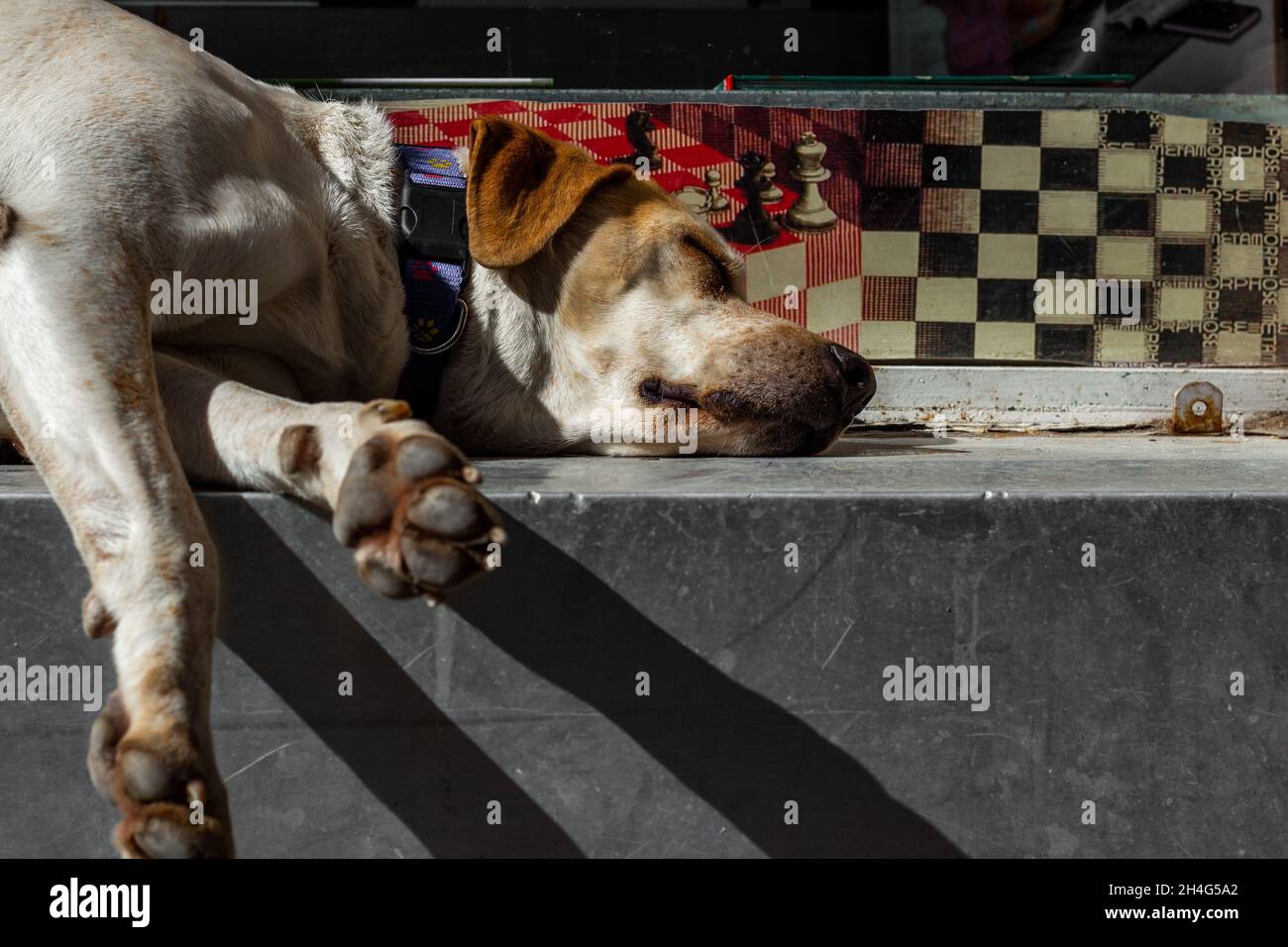 Blog di vita immagini e fotografie stock ad alta risoluzione Alamy