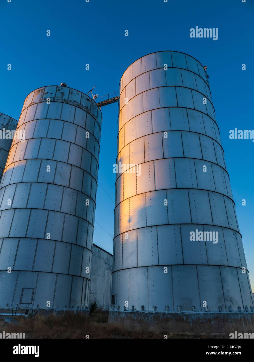 Elevatore di grano e silos, Strasburg, Colorado. Foto Stock