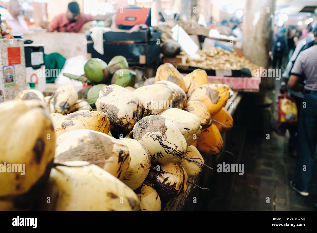 Le noci di cocco gialle sono vendute nel mercato dell'isola di Mauritius. Vendita di frutta vegetariana all'aperto. Molte noci di cocco sul mercato. Foto Stock