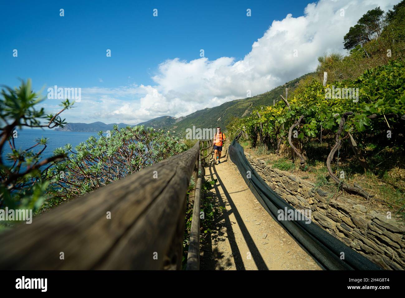 Sentiero delle cinque Terre Foto Stock
