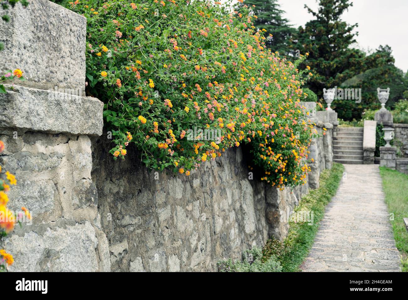 Il giardino italiano geometricamente modellato della tenuta Maymont, Richmond, VA. Foto Stock