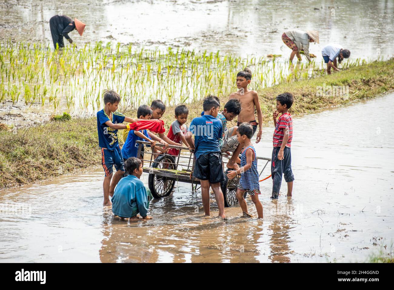 An Giang 21 settembre 2019. I bambini giocano sul campo di riso nel tradizionale festival cambogiano Foto Stock