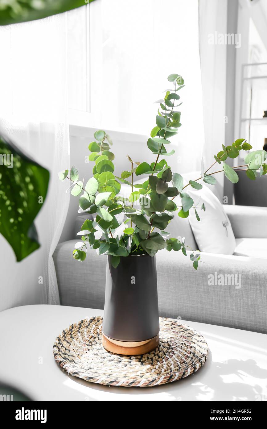 Vaso nero con eucalipto sul tavolo in soggiorno luminoso Foto stock - Alamy