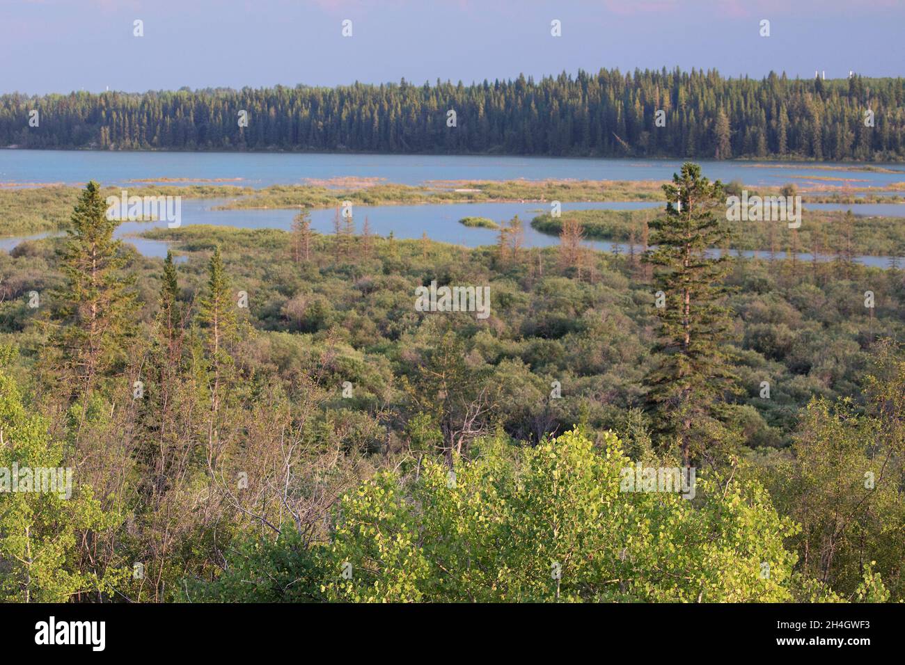 Weaselhead Flats paesaggio, un delta dove il fiume Elbow scorre nel Glenmore Reservoir, Calgary, Canada Foto Stock