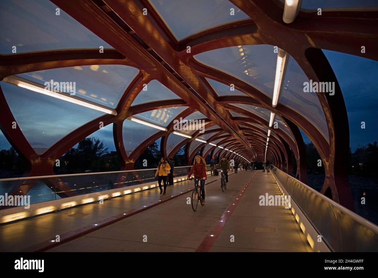 Ciclisti e pedoni che attraversano il caratteristico Peace Bridge sul fiume Bow a Calgary di notte. Foto Stock