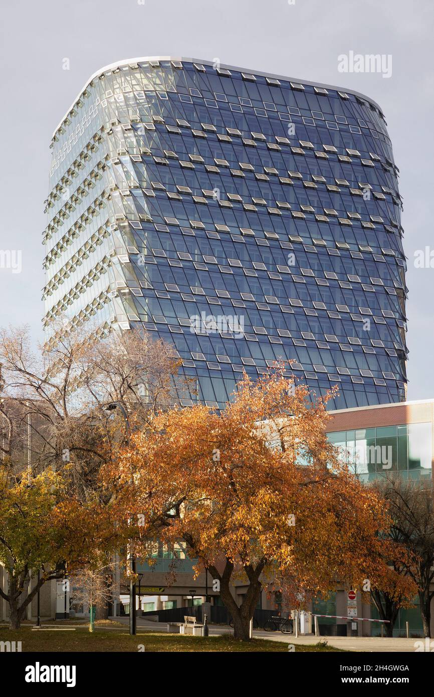 MacKimmie Tower, il primo edificio a zero emissioni di carbonio nel campus dell'Università di Calgary in Canada. La struttura a risparmio energetico ha una facciata in vetro. Foto Stock