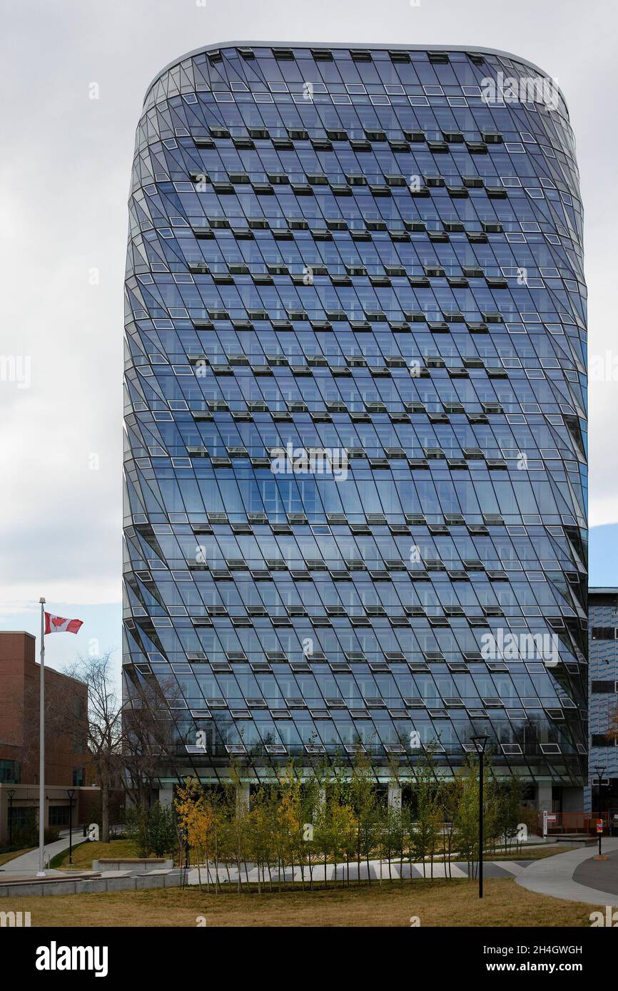 MacKimmie Tower, il primo edificio a zero emissioni di carbonio nel campus dell'Università di Calgary in Canada. La struttura a risparmio energetico ha una facciata in vetro. Foto Stock