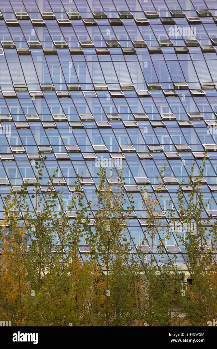 Da vicino alla MacKimmie Tower, il primo edificio a zero emissioni di carbonio nel campus della University of Calgary. La struttura a risparmio energetico ha una facciata in vetro. Foto Stock