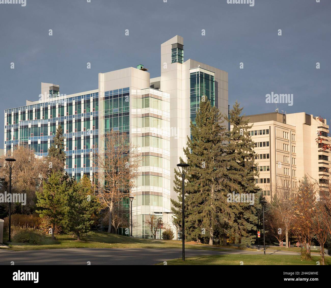 Università di Calgary campus Foto Stock