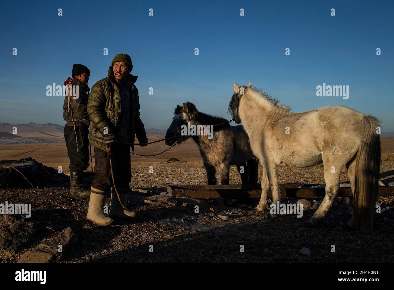 Un padre e un figlio annaffiare i loro cavalli al mattino circa 100 km dalla capitale Ulaanbaatar, 17 gennaio 2019. I genitori cercano di far uscire i loro figli Foto Stock