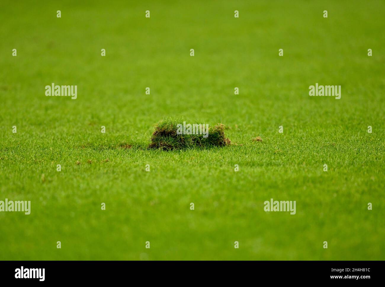Rampant Turf, PreZero Arena, Sinsheim, Baden-Wuerttemberg, Germania Foto Stock