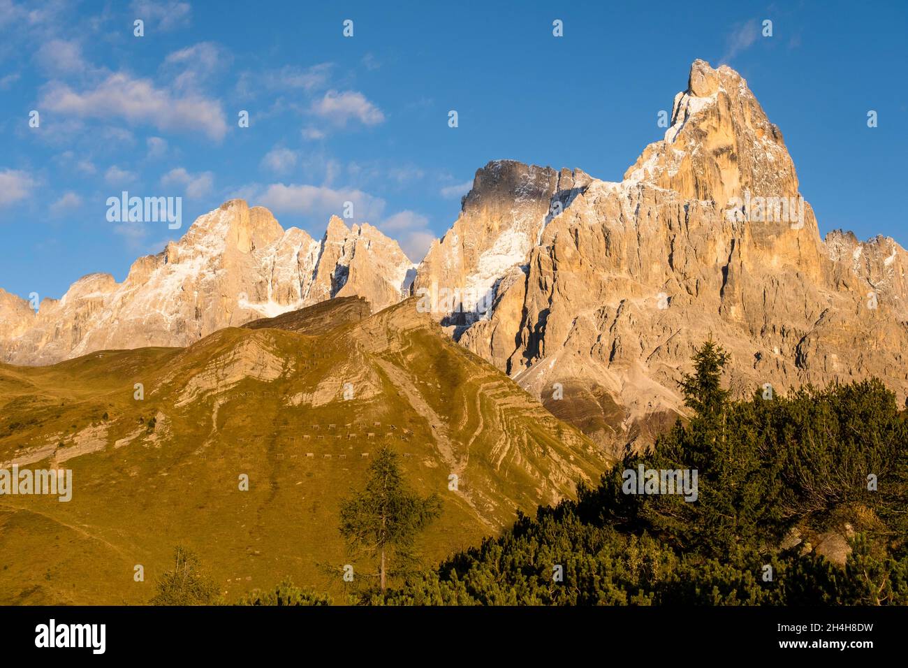 Cimon della pala, Gruppo pala, Parco Naturale Paneveggio pale di San Martino, Passo Rolle, Trentino Foto Stock