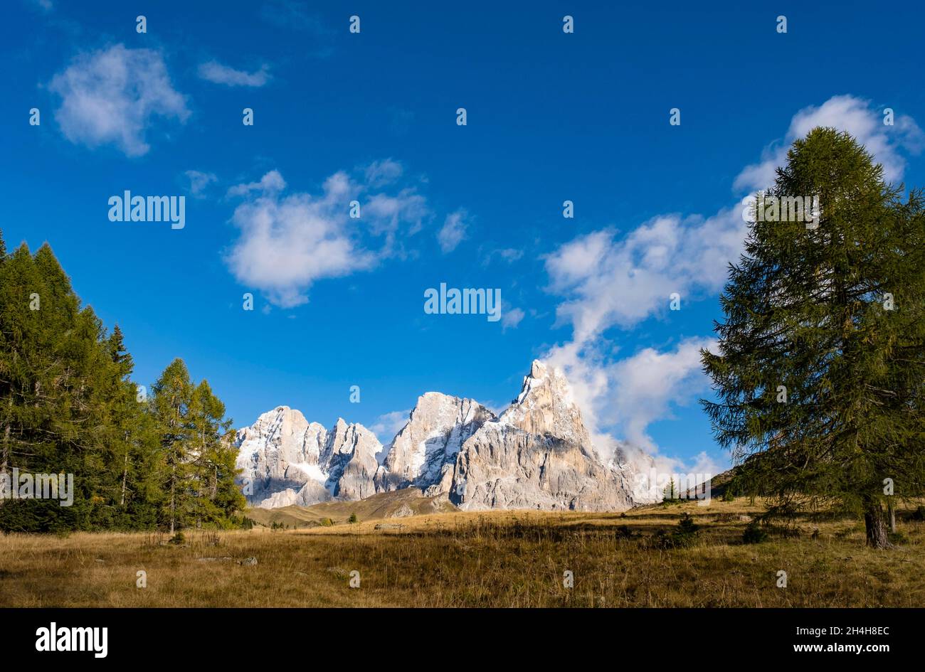 Cimon della pala, Gruppo pala, Parco Naturale Paneveggio pale di San Martino, Passo Rolle, Trentino Foto Stock