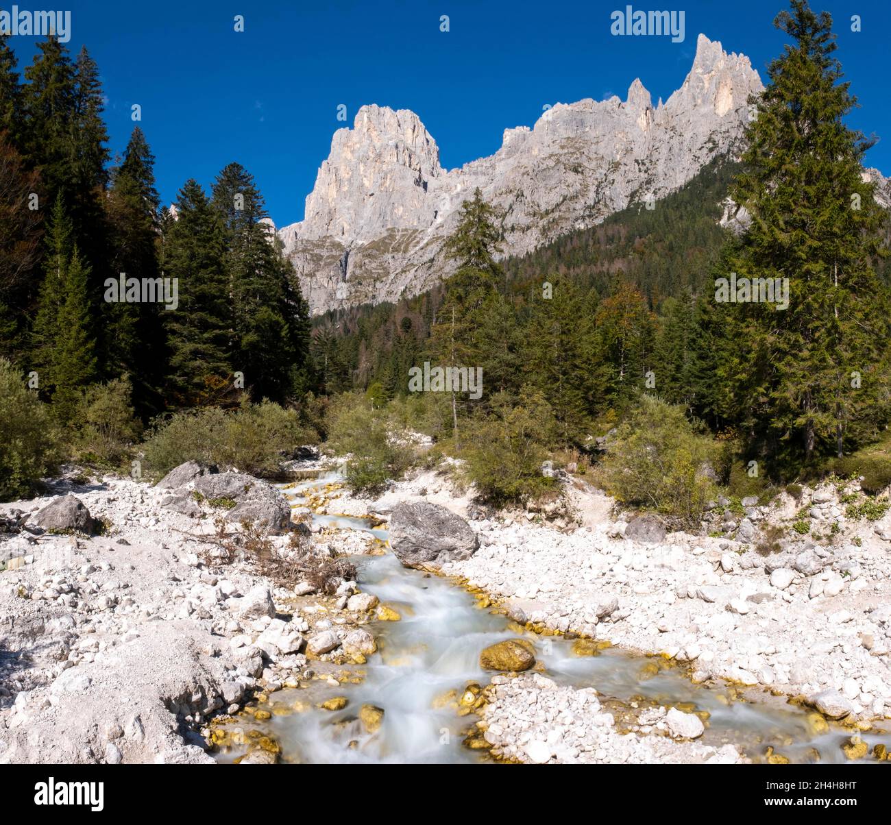 Torrente che attraversa la Val Pradidali, Parco Naturale Paneveggio pale di San Martino, Passo Rolle, Trentino, Italia Foto Stock