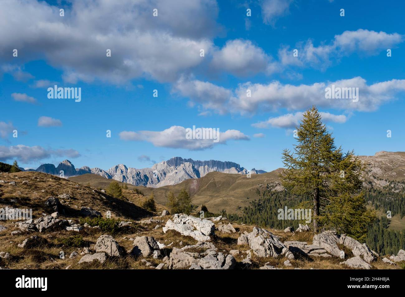 Paesaggio montano nel Parco Naturale Paneveggio pale di San Martino, Passo Rolle, Trentino Foto Stock