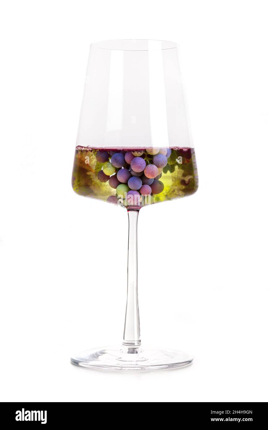 Concetto di vino. Vigneto in collage di vetro, isolato su sfondo bianco. Uva da vino rosso, porpora, in un moderno vitigno Foto Stock
