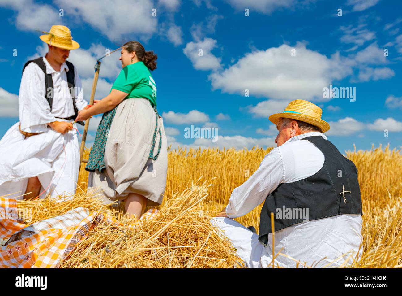 Muzlja, Vojvodina, Serbia, - 03 luglio 2021; XXXVIII tradizionalmente raccolto di grano. L'uomo e la donna legano la corda con una corda, la preparano per la raccolta Foto Stock