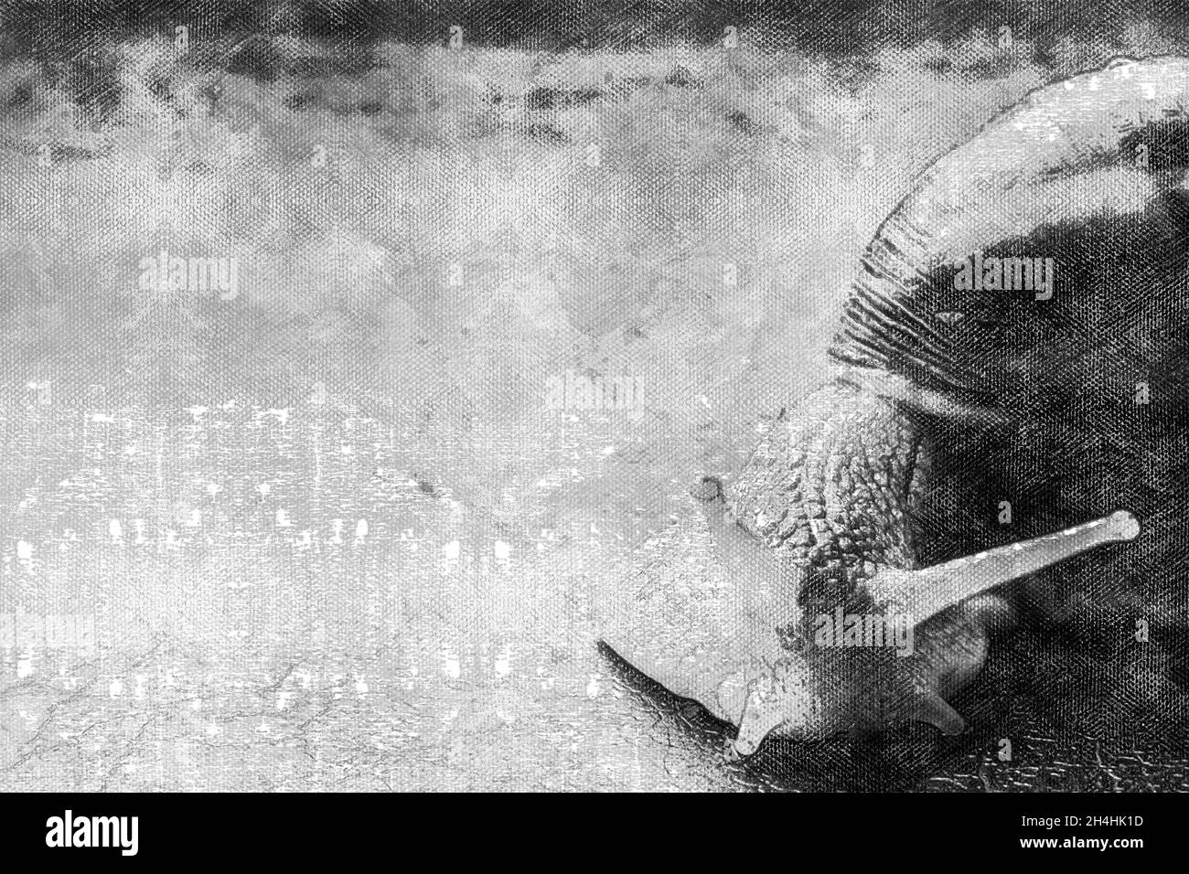 Ritratto in bianco e nero di una lumaca. Il mollusco striscia sulla superficie con le sue antenne che sporgono. Pittura digitale ad acquerello Foto Stock