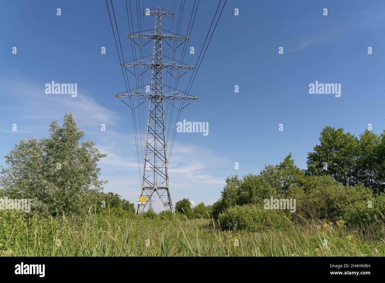 Linea elettrica isolante ad alta tensione contro il cielo blu. In un paesaggio naturale con erba e alberi. Foto Stock