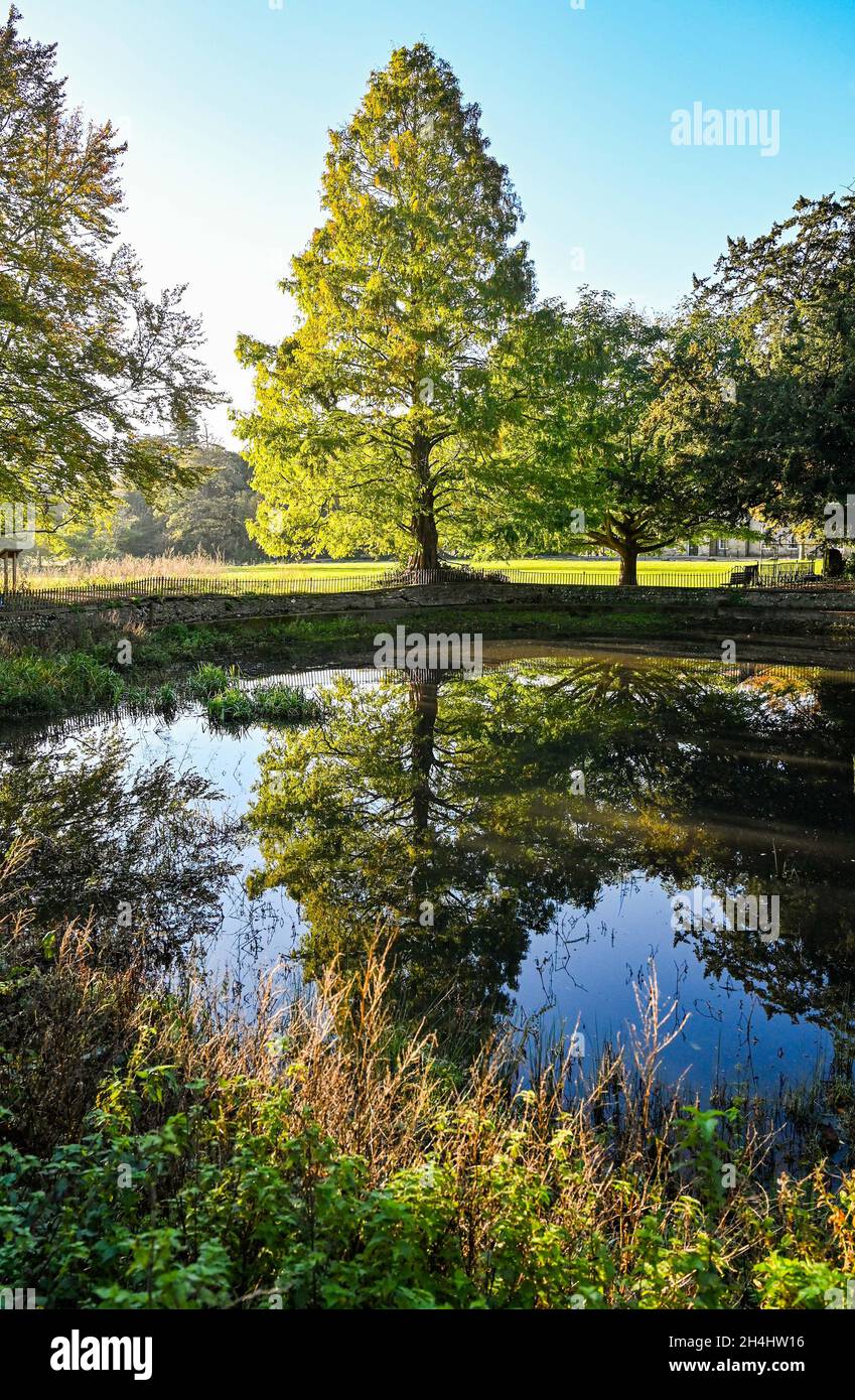 Brighton UK 3 novembre 2021 - riflessioni del sole autunnale a Stanmer Park alla periferia di Brighton : Credit Simon Dack / Alamy Live News Foto Stock