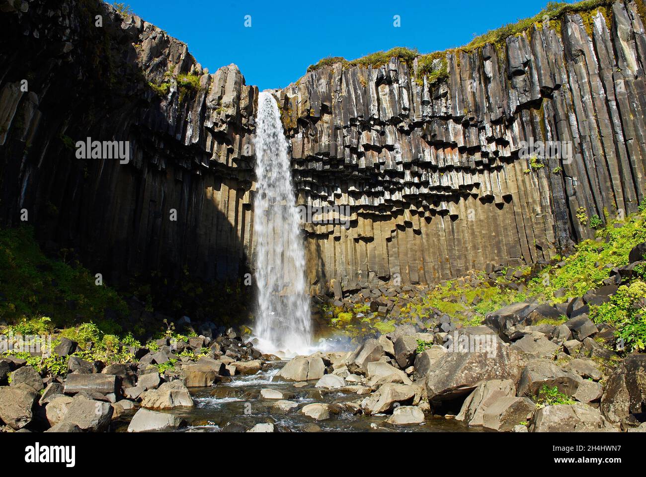 Islande. Skaftafell. Orgues basaltiques et chutes d'eau de Svartifoss. // Islanda. Skaftafell. Cascata di Svartifoss. Foto Stock