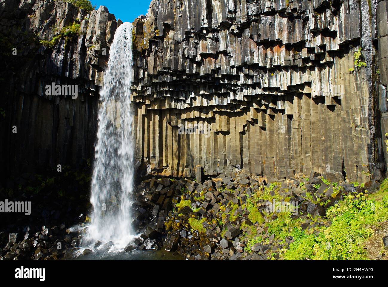 Islande. Skaftafell. Orgues basaltiques et chutes d'eau de Svartifoss. // Islanda. Skaftafell. Cascata di Svartifoss. Foto Stock