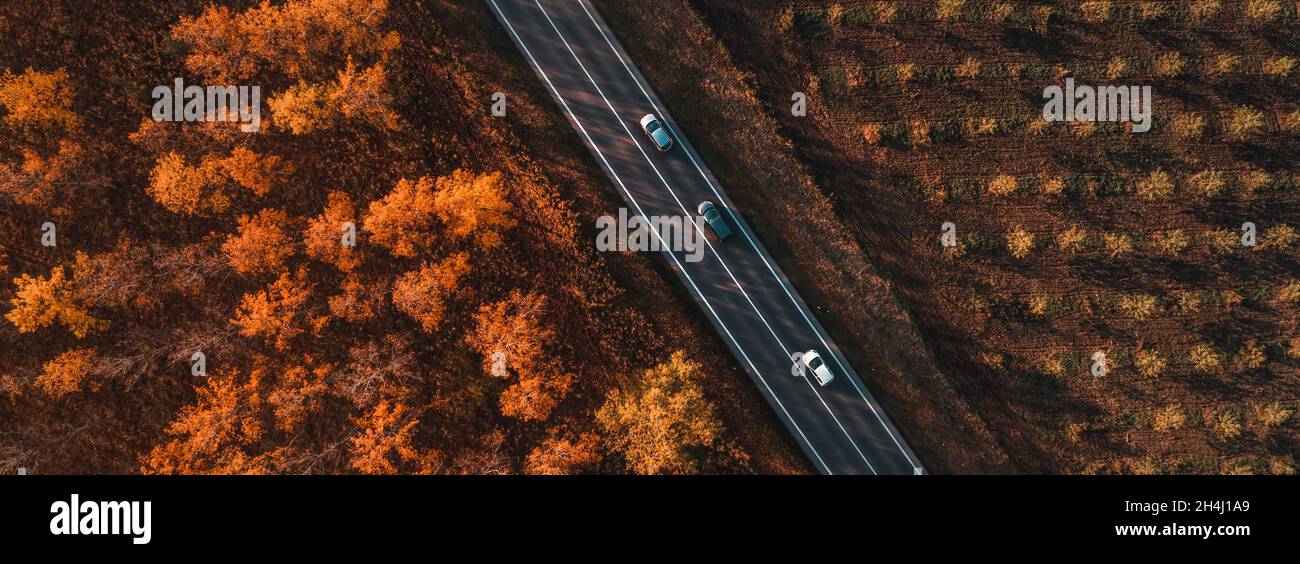 Scatto aereo di tre auto sulla strada attraverso foresta decidua in autunno, top down drone pov di veicoli che guidano lungo la strada Foto Stock