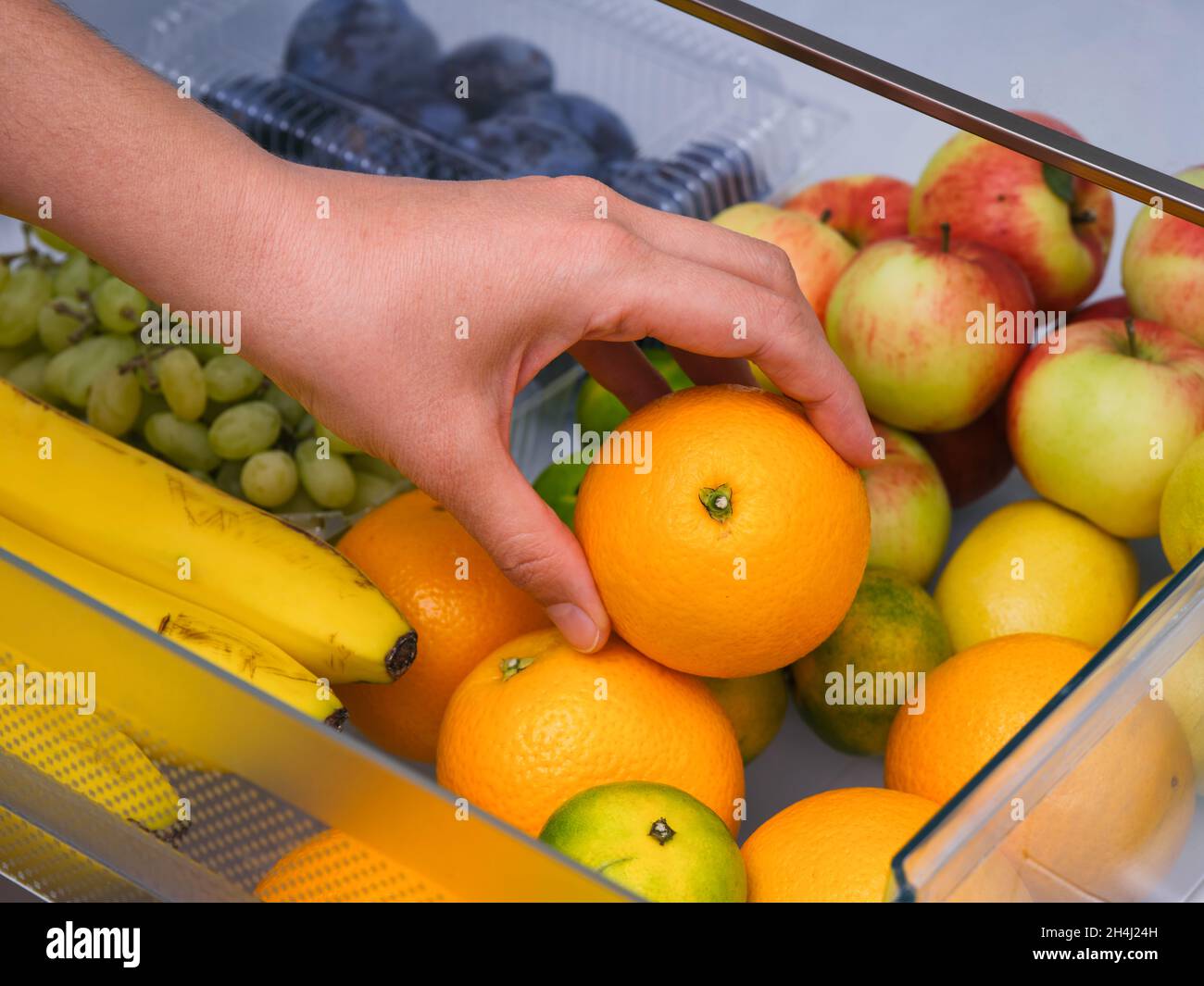 Donna che prende l'arancia dal cassetto frigorifero pieno di frutta. Primo piano. Foto Stock