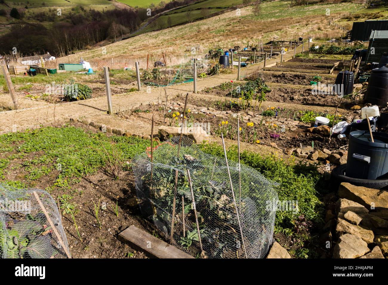 A Dodd Naze, un piccolo villaggio sopra Hebden Bridge, West Yorkshire. Foto Stock