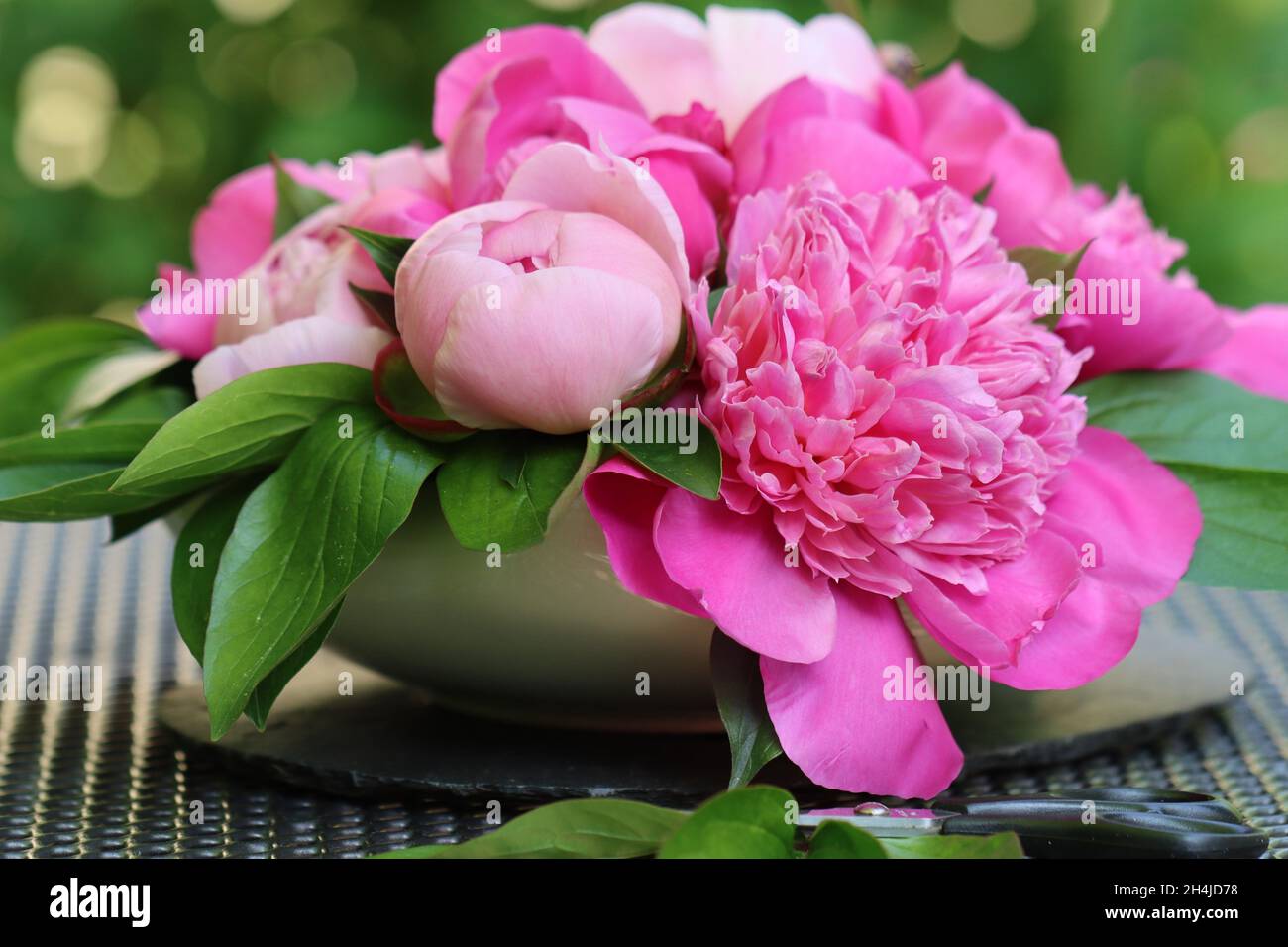 primo piano di una disposizione di fiori di peonia rosa in una ciotola bianca cremosa che si erge su un tavolo da giardino grigio Foto Stock