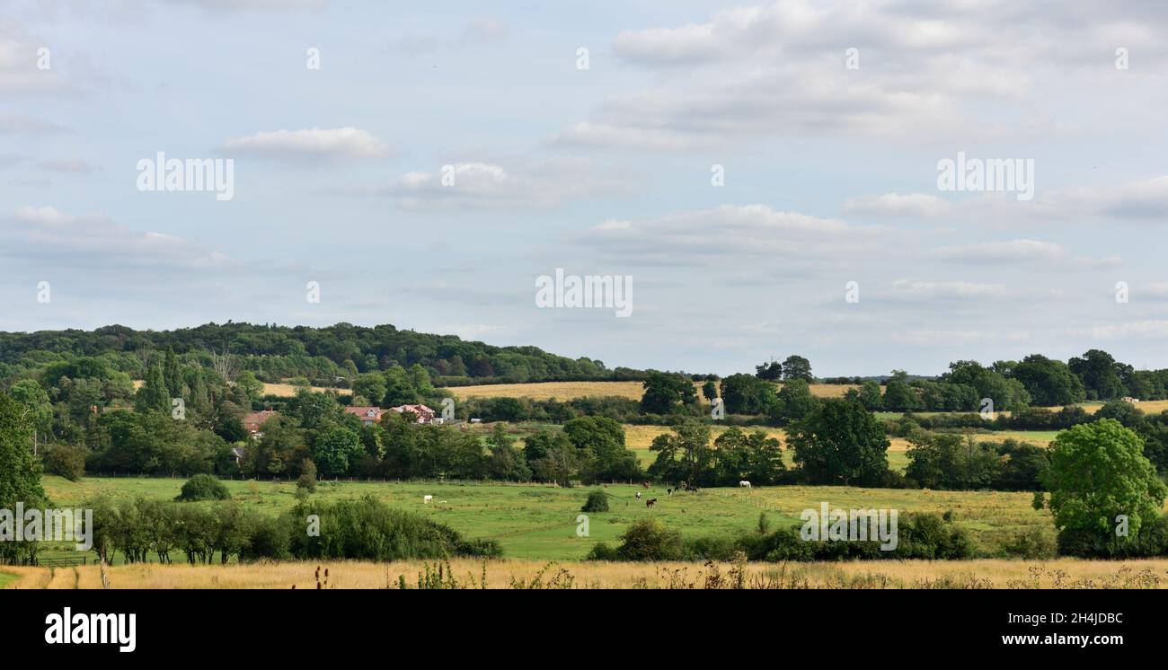Paesaggio di campagna nel Warwickshire, Regno Unito, vicino a Wootton Wawen, Henley-in-Arden Foto Stock