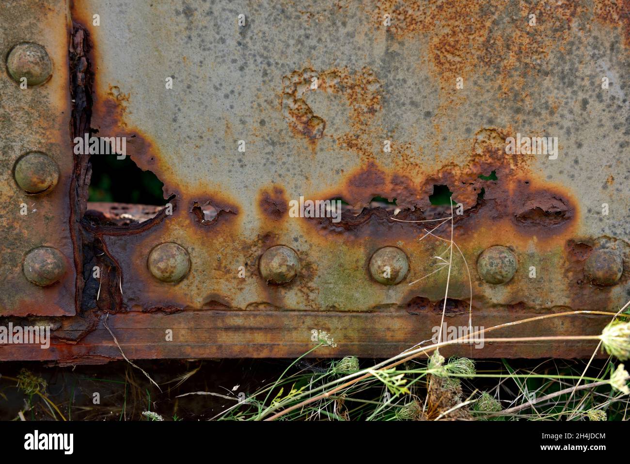 Riassunto di acciaio arrugginito rivettato colorato con erbacce Foto Stock