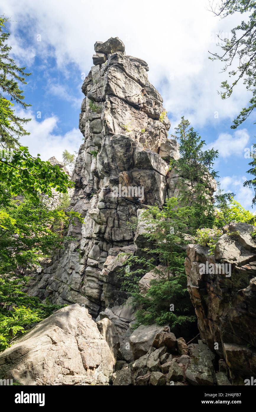 Rock nella foresta - monumento naturale Dratenicka Rock, Zdarske Vrchy in Vysocina, Repubblica Ceca Foto Stock