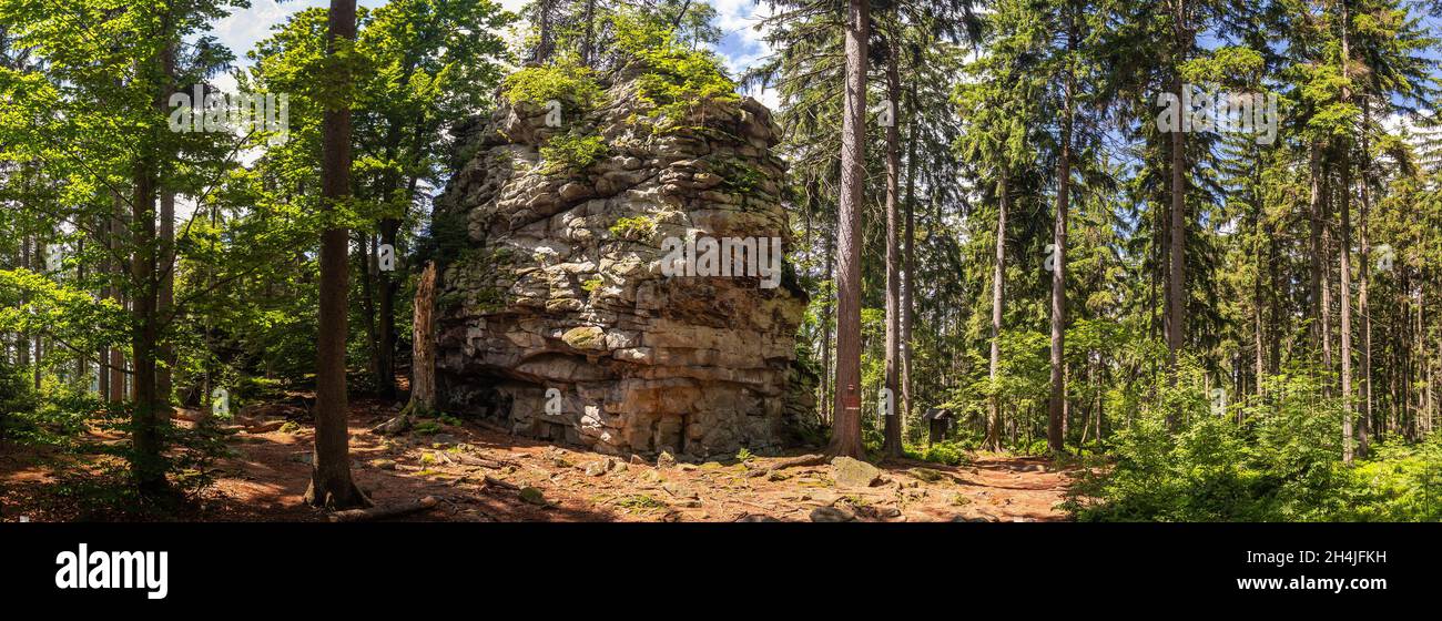 Roccia nella foresta - monumento naturale Lisovska Rock, Zdarske Vrchy in Vysocina, Repubblica Ceca Foto Stock