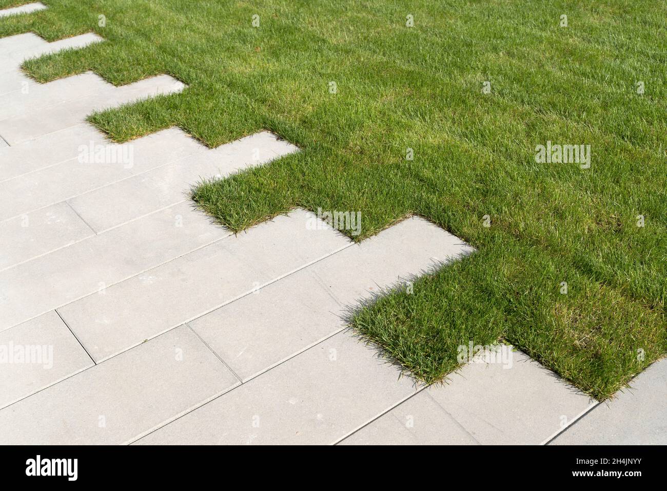 Prato erba e marciapiede sulla zona pedonale nel giardino o parco. Abbellimento del prato e miglioramento del territorio vicino alla casa. Foto di alta qualità Foto Stock