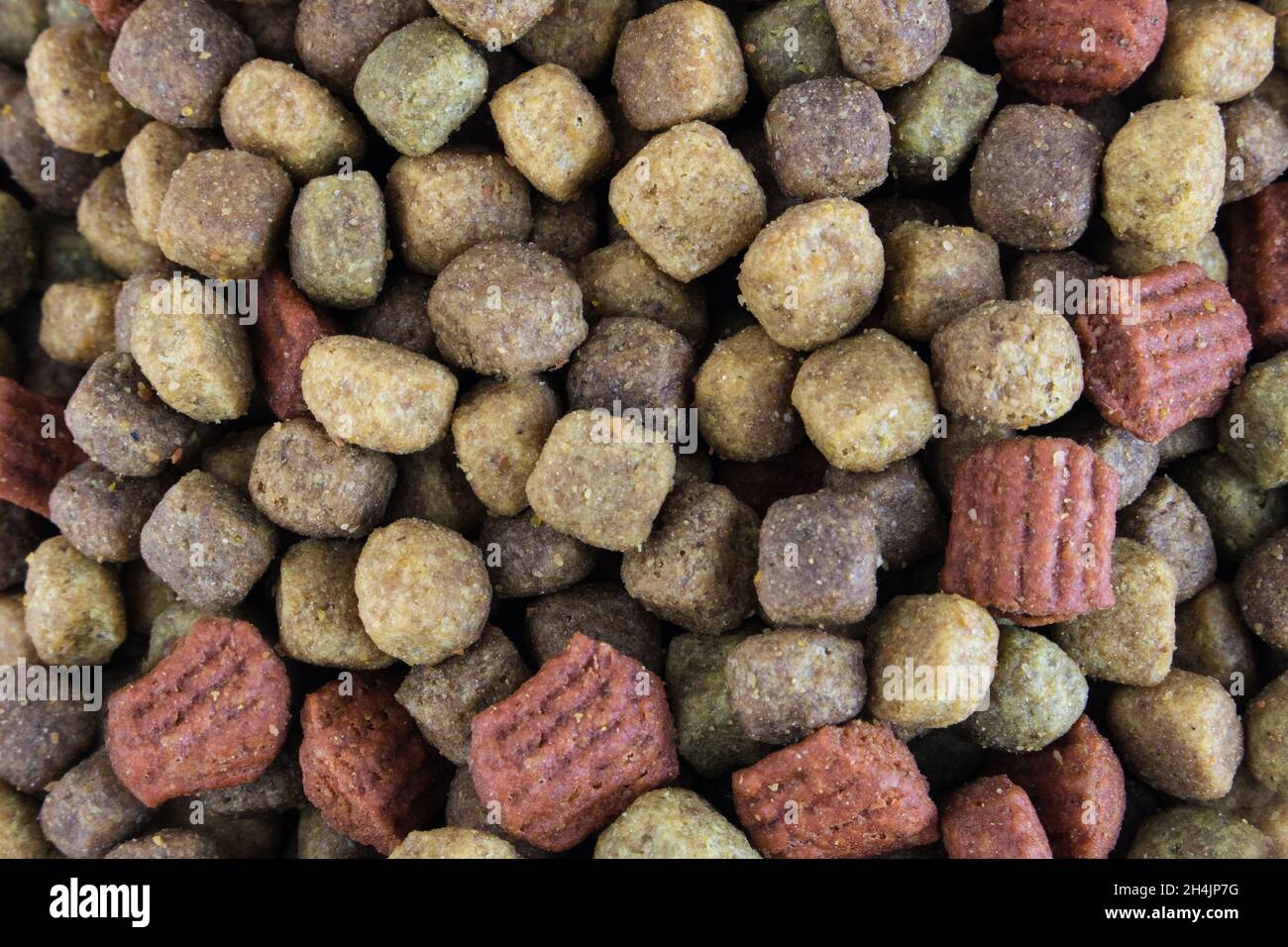 Cibo per un cane o un gatto. Cibo asciutto per cuccioli o cuccioli da vicino. Concetto - pubblicità di alimenti secchi per animali domestici. Vista dall'alto. Spazio di copia Foto Stock