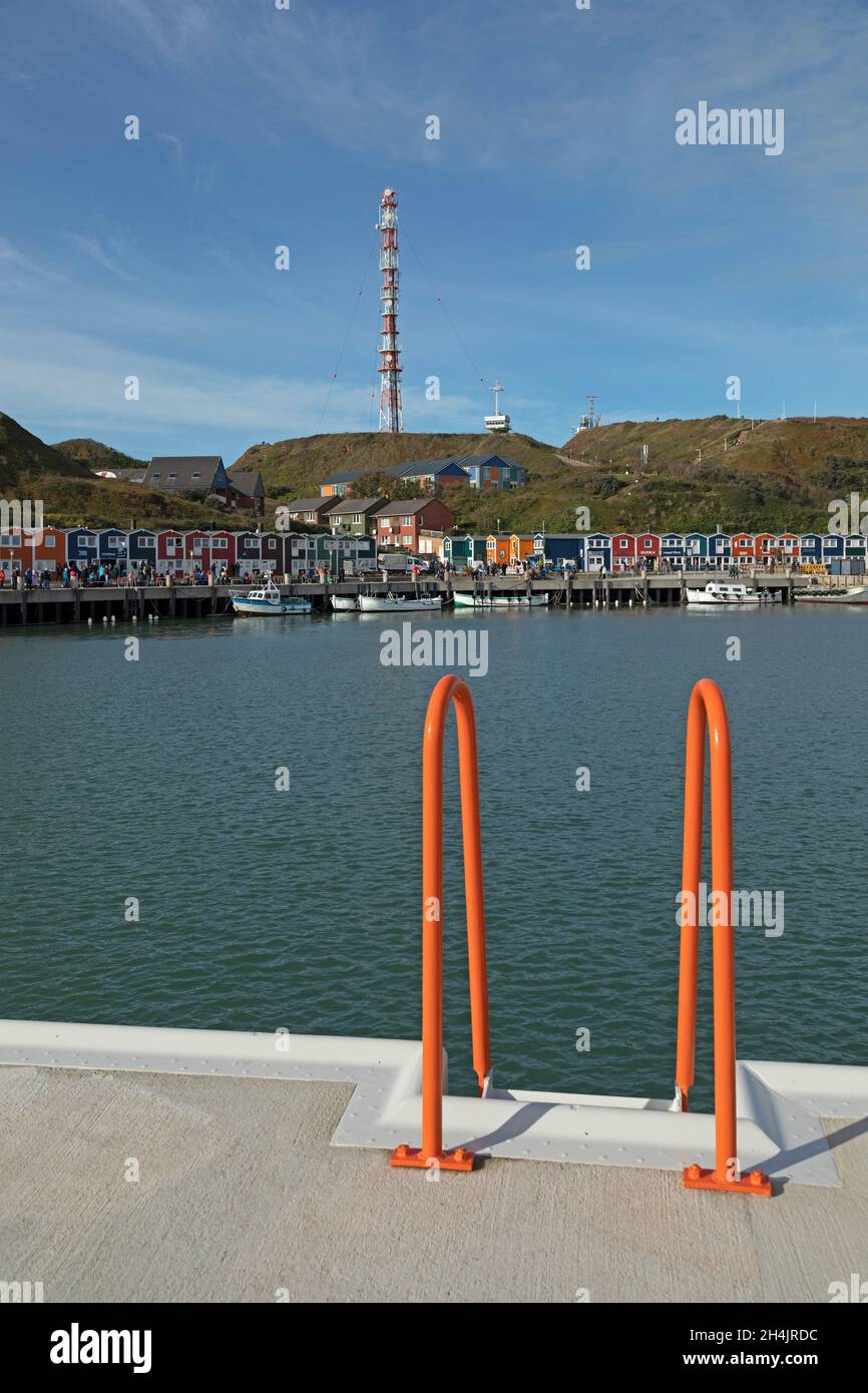 Scacchi di aragosta, porto, Isola di Helgoland, Schleswig-Holstein, Germania Foto Stock